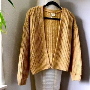 Cardigan sweater